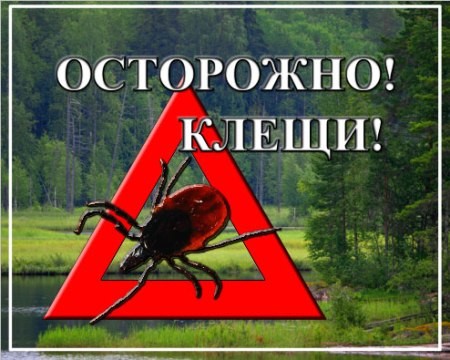 ВНИМАНИЕ! ВНИМАНИЕ!.
